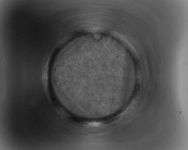X0000087620591200705181314