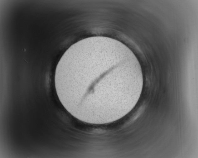 X0000087620592200705181314