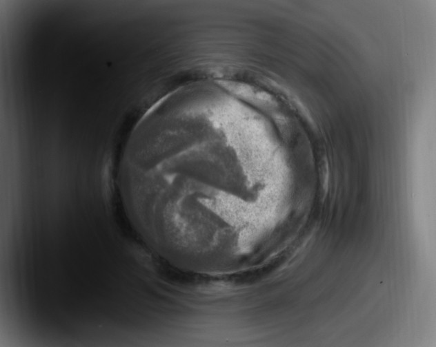 X0000087620594200705181314
