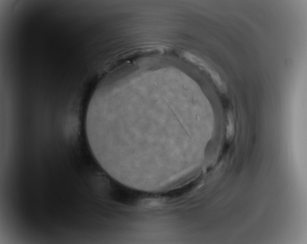 X0000087620595200705181314