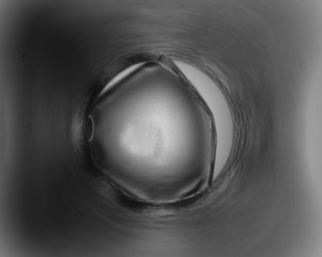 X0000087620597200705181314