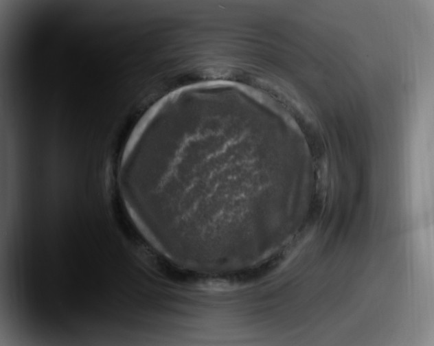 X0000087620598200705181314