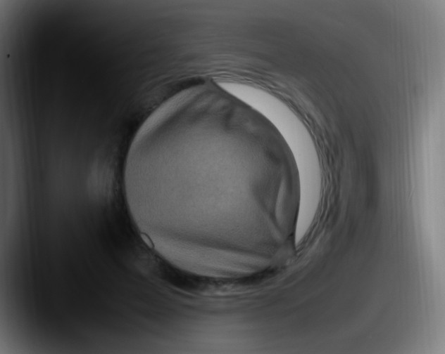 X0000087620599200705181314