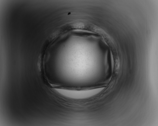 X0000087620600200705181314