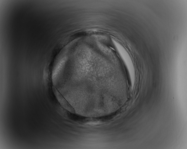 X0000087620601200705181314