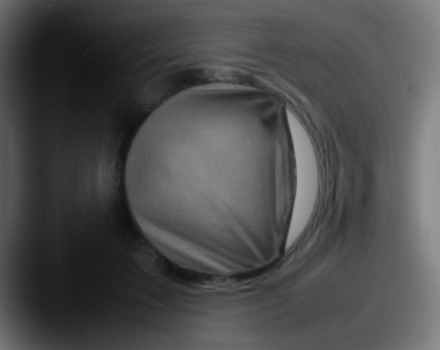 X0000087620603200705181314
