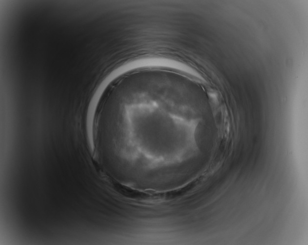 X0000087620604200705181314