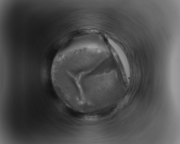 X0000087620606200705181314