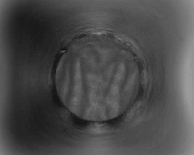 X0000087620607200705181314