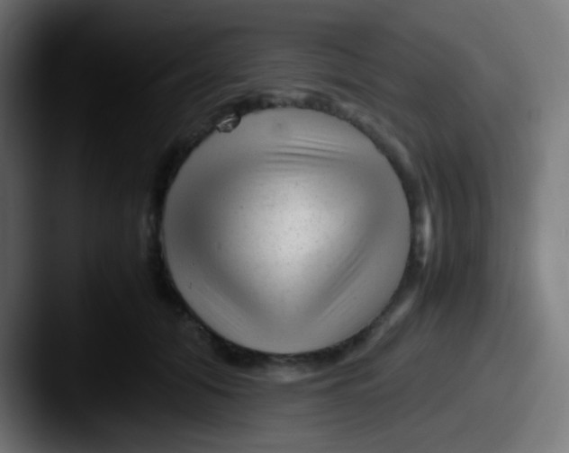 X0000087620608200705181314