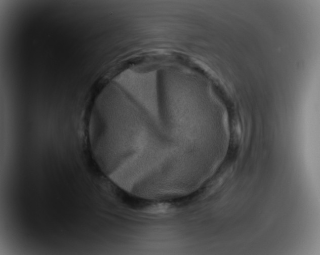 X0000087620609200705181314