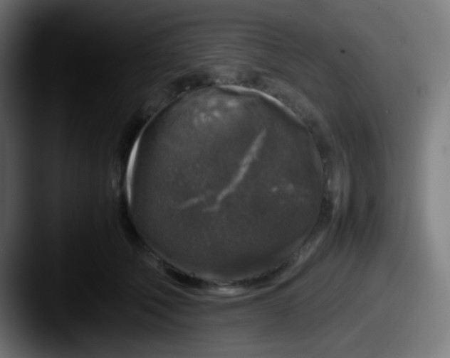 X0000087620610200705181314