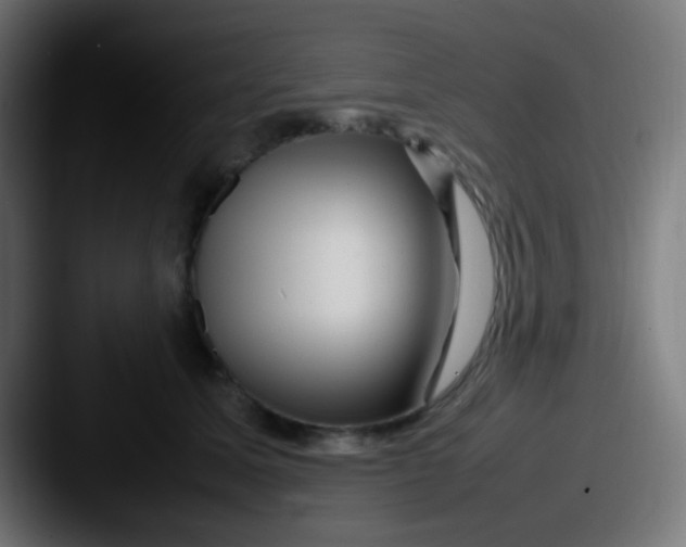 X0000087620611200705181314