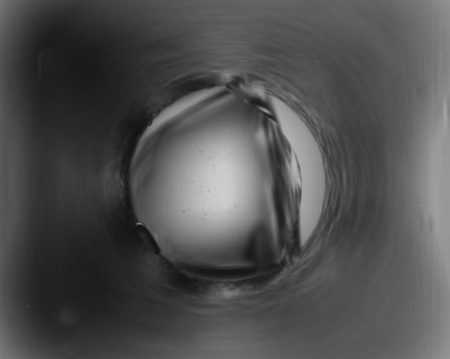 X0000087620613200705181314