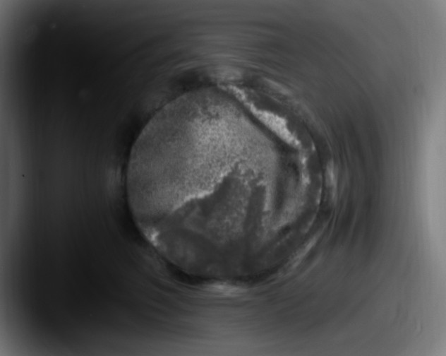 X0000087620614200705181314