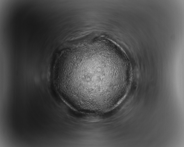 X0000087620615200705181314