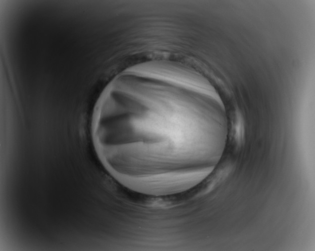 X0000087620616200705181314