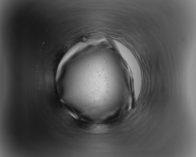 X0000087620617200705181314