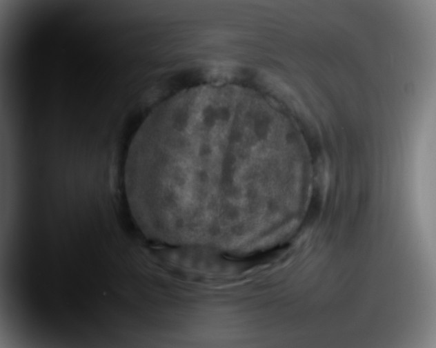 X0000087620619200705181314