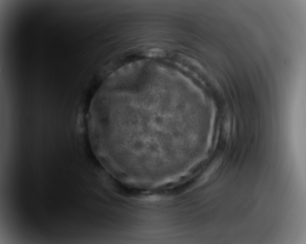 X0000087620620200705181314