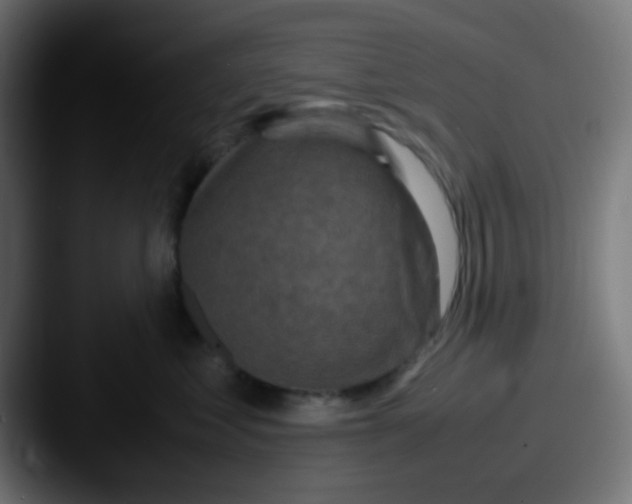 X0000087620621200705181314