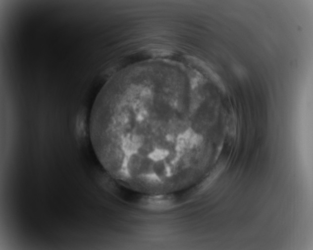 X0000087620622200705181314