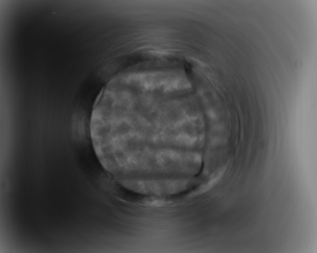 X0000087620624200705181314