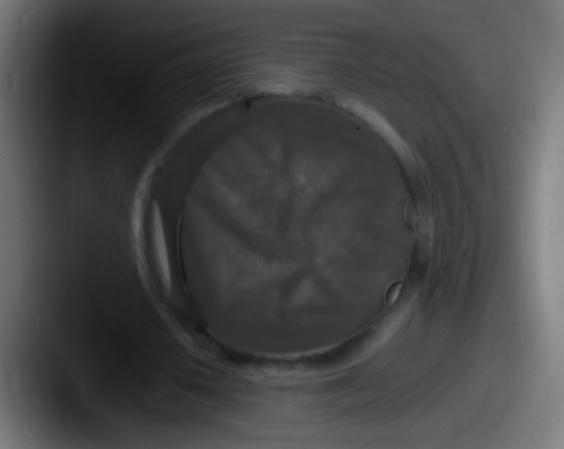X0000087620626200705181313