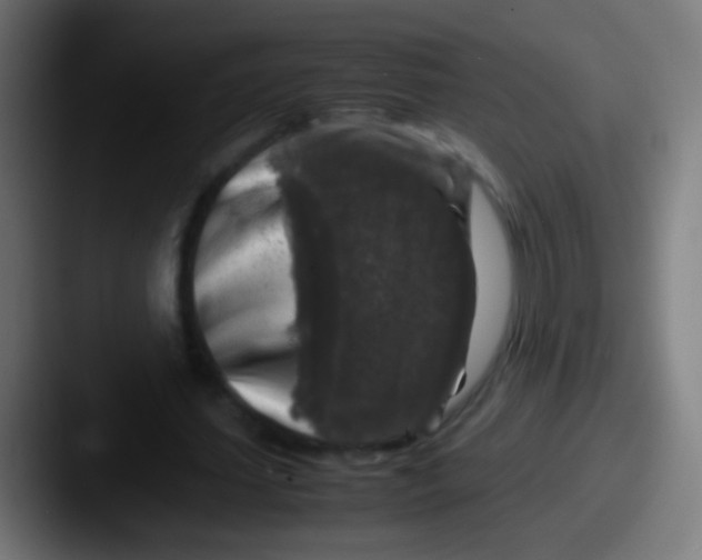 X0000087620627200705181313