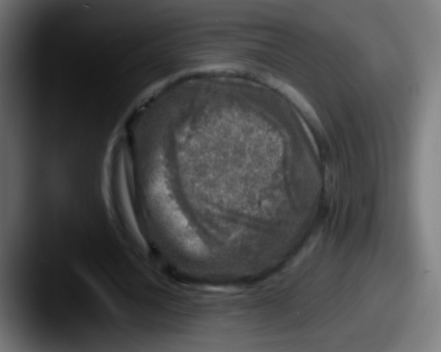 X0000087620628200705181313