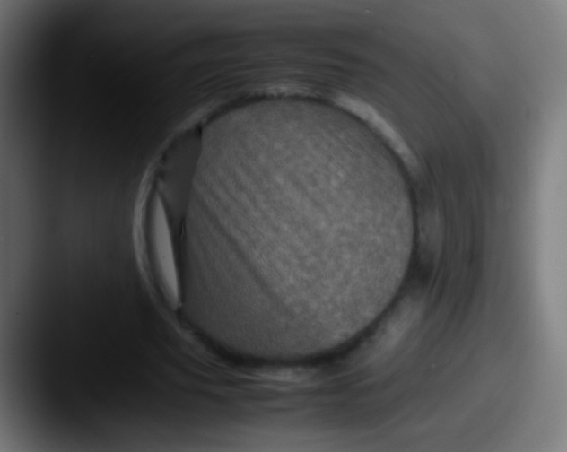 X0000087620629200705181313