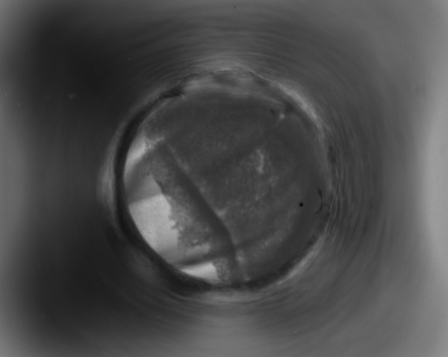 X0000087620630200705181313