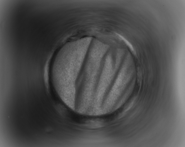 X0000087620631200705181313