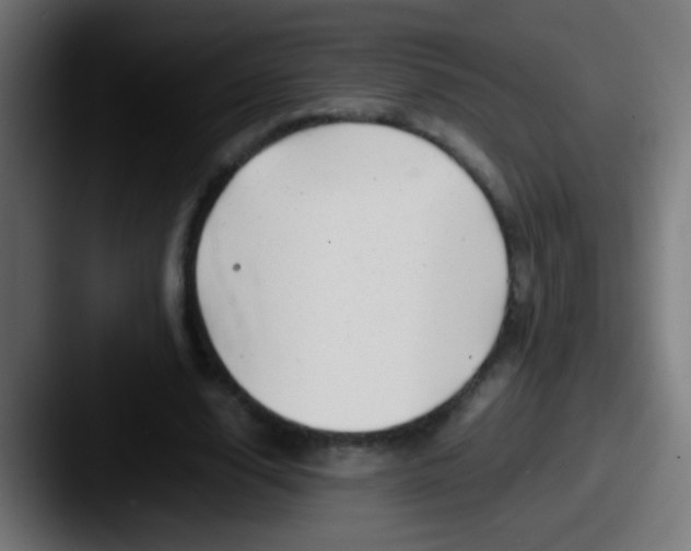 X0000087620632200705181313