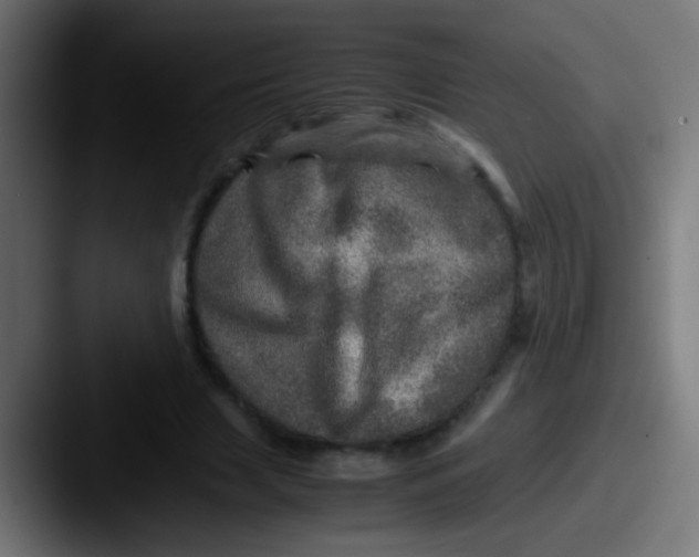 X0000087620633200705181313