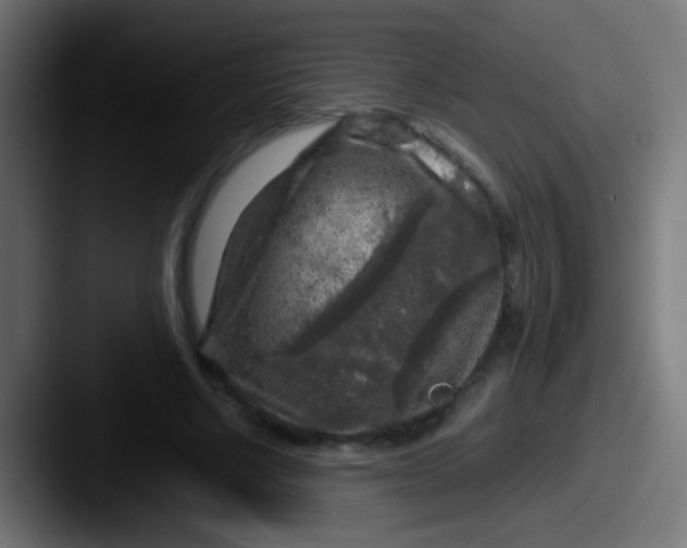 X0000087620634200705181313