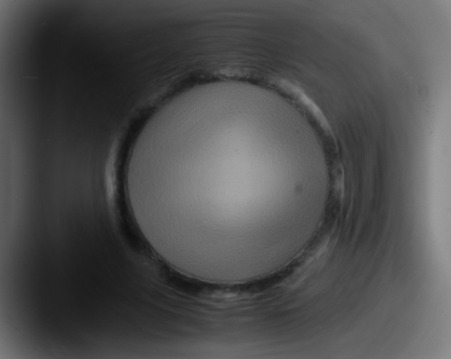 X0000087620635200705181313