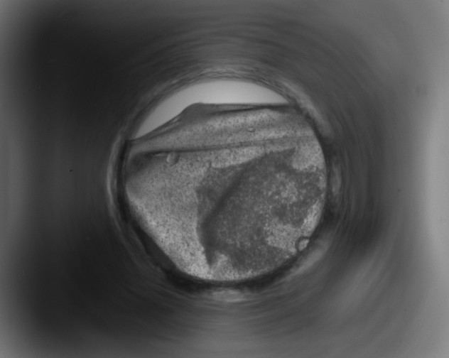 X0000087620636200705181313