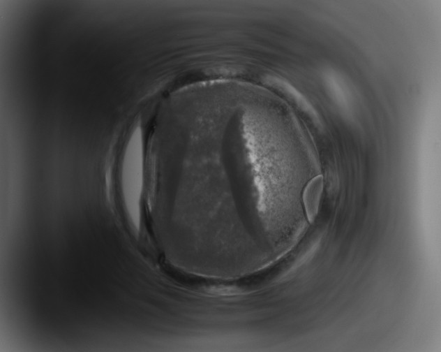 X0000087620637200705181313
