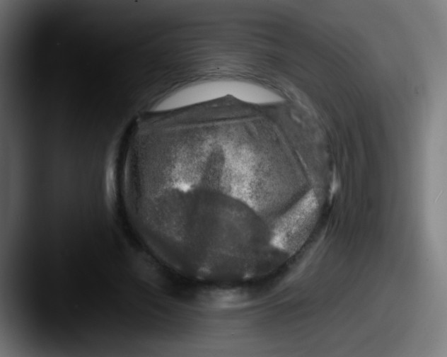 X0000087620638200705181314