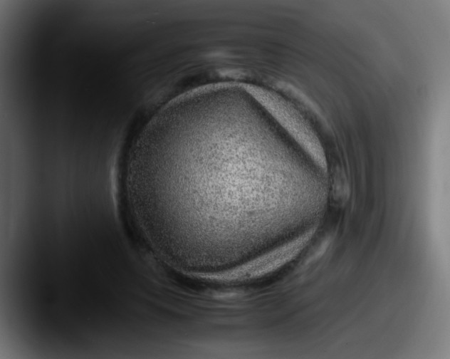 X0000087620639200705181314