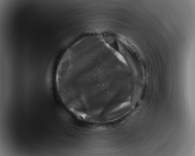 X0000087620640200705181314