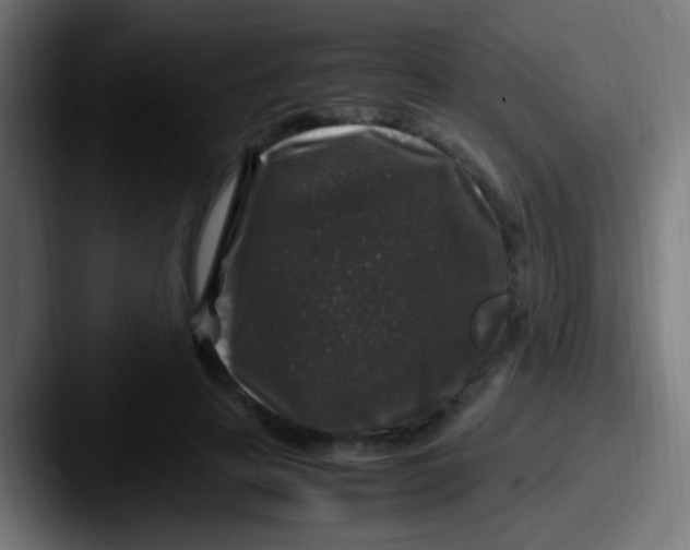 X0000087620641200705181314