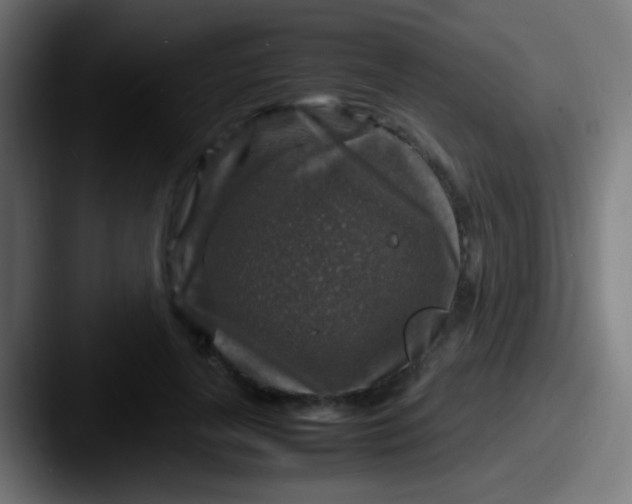 X0000087620643200705181314