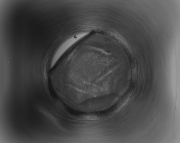 X0000087620644200705181314