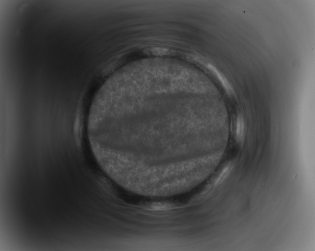 X0000087620645200705181314