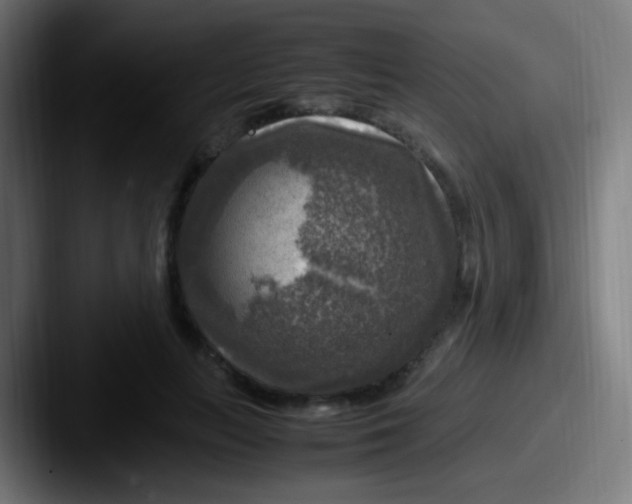 X0000087620647200705181314
