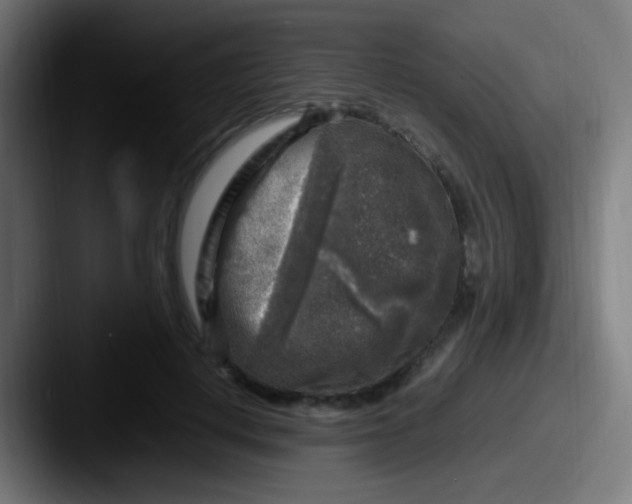X0000087620648200705181314