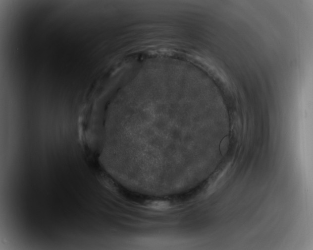 X0000087620649200705181314