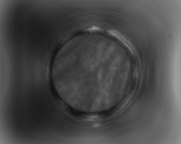 X0000087620651200705181314